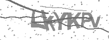 visual captcha